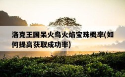 洛克王國呆火鳥火焰寶珠概率，如何提高獲取成功率