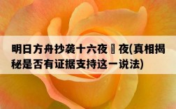明日方舟抄襲十六夜咲夜，真相揭秘是否有證據支持這一說法