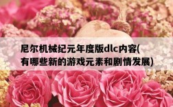 尼爾機械紀元年度版dlc內容，有哪些新的游戲元素和劇情發展