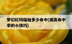夢幻紅瑪瑙加多少命中，提高命中率的小技巧