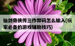 仙劍奇俠傳三作弊碼怎么輸入，玩家必備的游戲輔助技巧