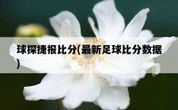 球探捷報比分，最新足球比分數據