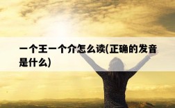 一個王一個介怎么讀，正確的發音是什么