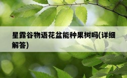 星露谷物語花盆能種果樹嗎，詳細解答