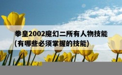 拳皇2002魔幻二所有人物技能，有哪些必須掌握的技能