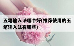 五筆輸入法哪個好，推薦使用的五筆輸入法有哪些