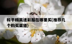 和平精英迷彩服在哪里買，推薦幾個購買渠道