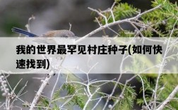 我的世界最罕見村莊種子，如何快速找到