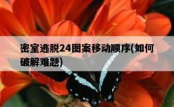 密室逃脫24圖案移動順序，如何破解難題