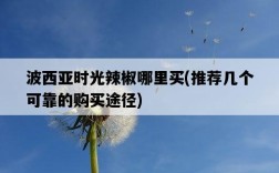 波西亞時光辣椒哪里買，推薦幾個可靠的購買途徑