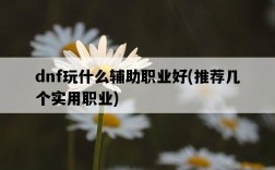dnf玩什么輔助職業好，推薦幾個實用職業