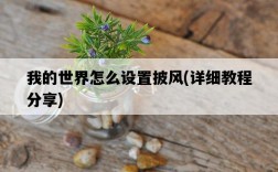 我的世界怎么設置披風，詳細教程分享