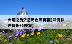 火炬之光2逆天倉庫存檔，如何快速備份和恢復