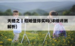 天穗之咲稻姬值得買嗎，詳細評測解析