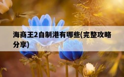 海商王2自制港有哪些，完整攻略分享