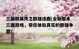 三國群英傳之群雄逐鹿，全新版本三國游戲，帶你體驗真實的群雄爭霸