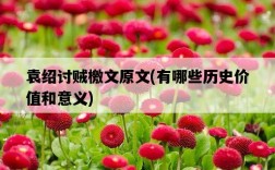 袁紹討賊檄文原文，有哪些歷史價值和意義