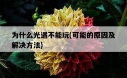 為什么光遇不能玩，可能的原因及解決方法