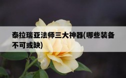 泰拉瑞亞法師三大神器，哪些裝備不可或缺