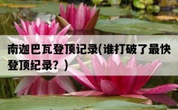南迦巴瓦登頂記錄，誰打破了最快登頂紀錄？