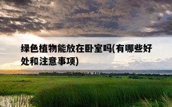 綠色植物能放在臥室嗎，有哪些好處和注意事項