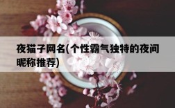 夜貓子網名，個性霸氣獨特的夜間昵稱推薦
