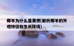 椰羊為什么是黃梗，解析椰羊的外觀特征和生長環境