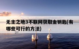 無主之地3不聯網獲取金鑰匙，有哪些可行的方法