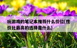 玩游戲的筆記本推薦什么價位，性價比最高的選擇是什么