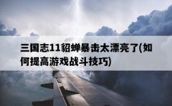 三國志11貂蟬暴擊太漂亮了，如何提高游戲戰斗技巧