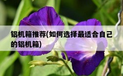 鋁機箱推薦，如何選擇最適合自己的鋁機箱