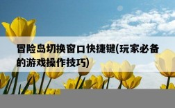 冒險島切換窗口快捷鍵，玩家必備的游戲操作技巧
