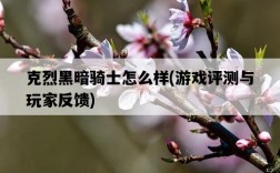 克烈黑暗騎士怎么樣，游戲評測與玩家反饋