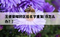 王者榮耀轉區后名字重復，該怎么辦？