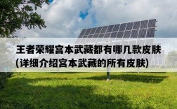 王者榮耀宮本武藏都有哪幾款皮膚，詳細介紹宮本武藏的所有皮膚