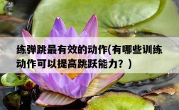 練彈跳最有效的動作，有哪些訓練動作可以提高跳躍能力？