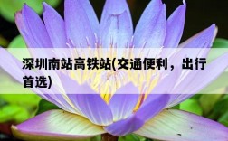 深圳南站高鐵站，交通便利，出行首選