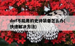 dnf不能用的史詩裝備怎么辦，快速解決方法