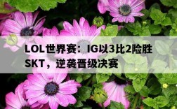 LOL世界賽:IG以3比2險勝SKT,逆襲晉級決賽