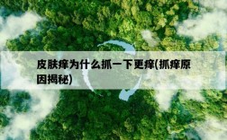 皮膚癢為什么抓一下更癢，抓癢原因揭秘