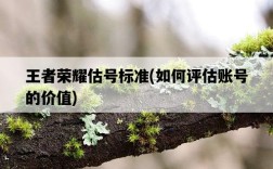 王者榮耀估號標準，如何評估賬號的價值