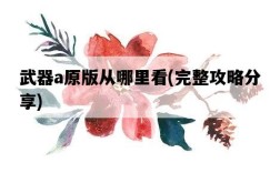 武器a原版從哪里看，完整攻略分享
