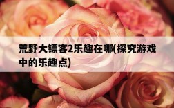 荒野大鏢客2樂趣在哪，探究游戲中的樂趣點