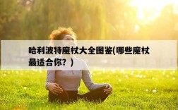 哈利波特魔杖大全圖鑒，哪些魔杖最適合你？