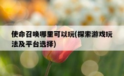 使命召喚哪里可以玩，探索游戲玩法及平臺選擇