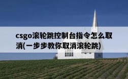 csgo滾輪跳控制臺指令怎么取消，一步步教你取消滾輪跳