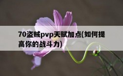 70盜賊pvp天賦加點，如何提高你的戰斗力