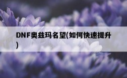 DNF奧茲瑪名望，如何快速提升
