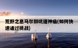荒野之息馬爾鼓坑道神廟，如何快速通過挑戰