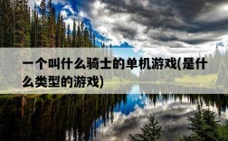 一個叫什么騎士的單機游戲，是什么類型的游戲